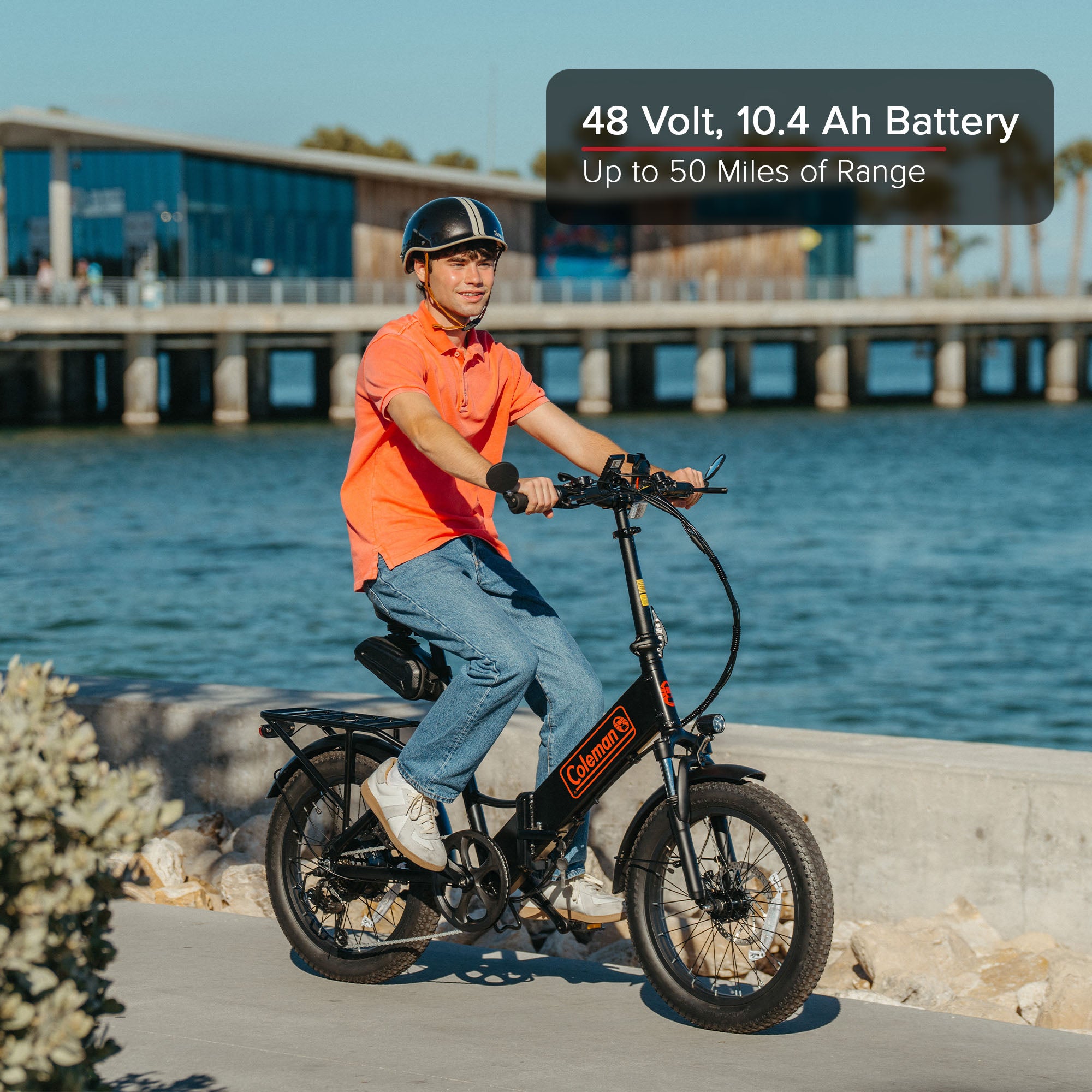 Commuter L Electric Bike