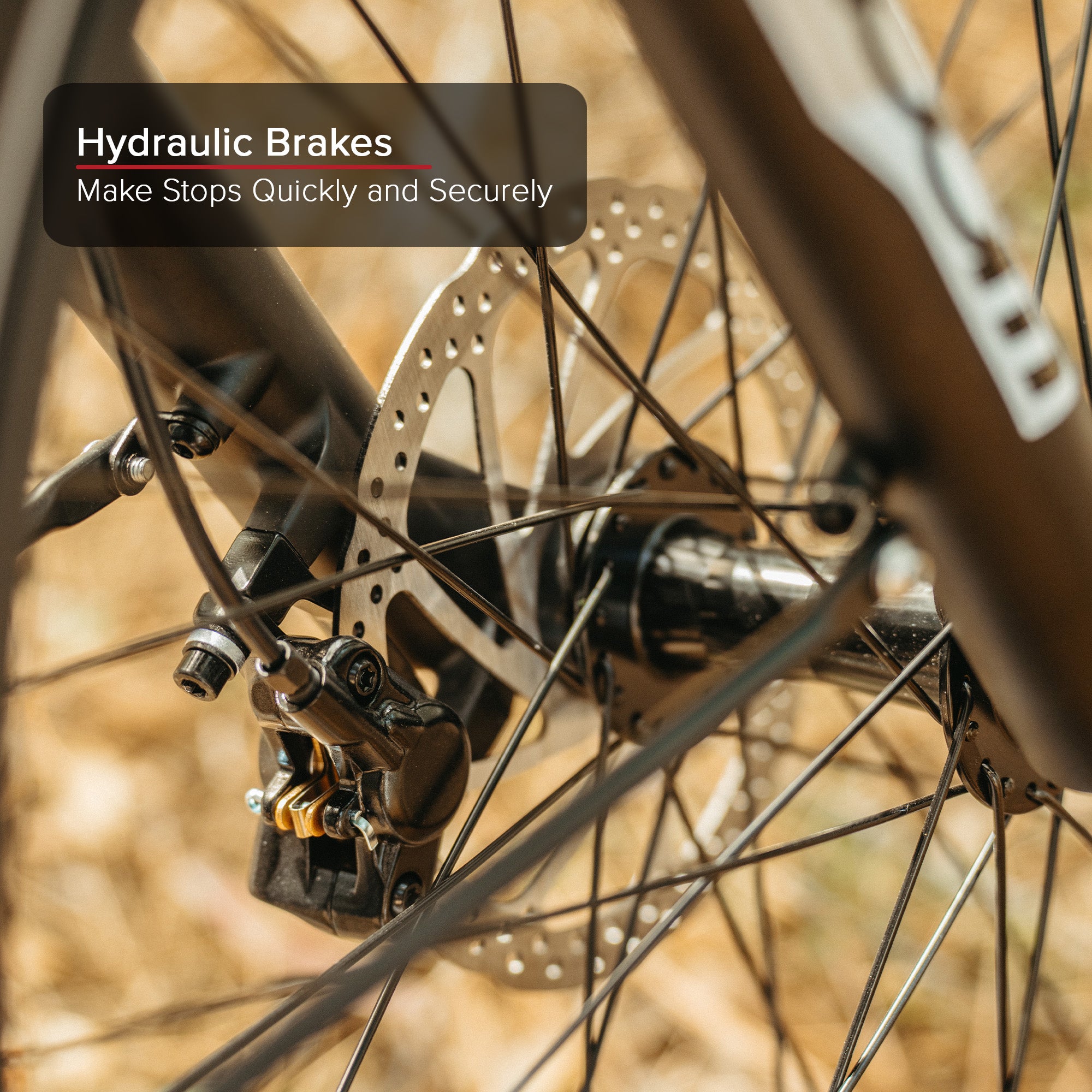 Trail XL Electric Bike