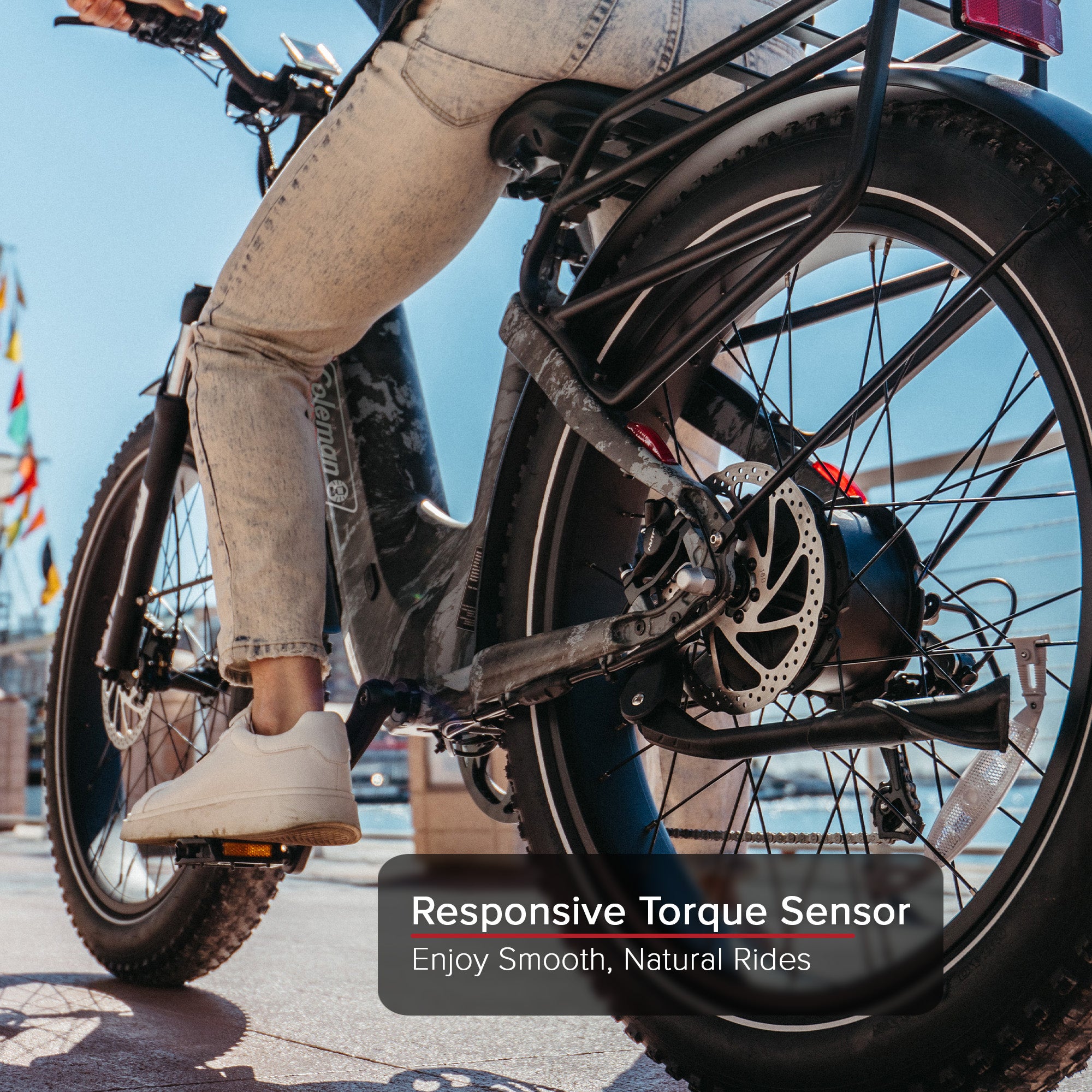 Trail XL Electric Bike