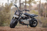 The Best Minibikes You Can Buy in 2026