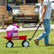 WG2 Kid's Wagon