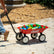 WG2 Kid's Wagon