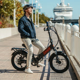 Commuter L Electric Bike