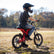 Dart 16 Electric Dirt Bike for Kids