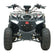 EV ATV125