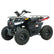 EV ATV125