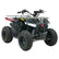 EV ATV125