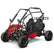 EVGK200 Lithium Two-Seater Go Kart