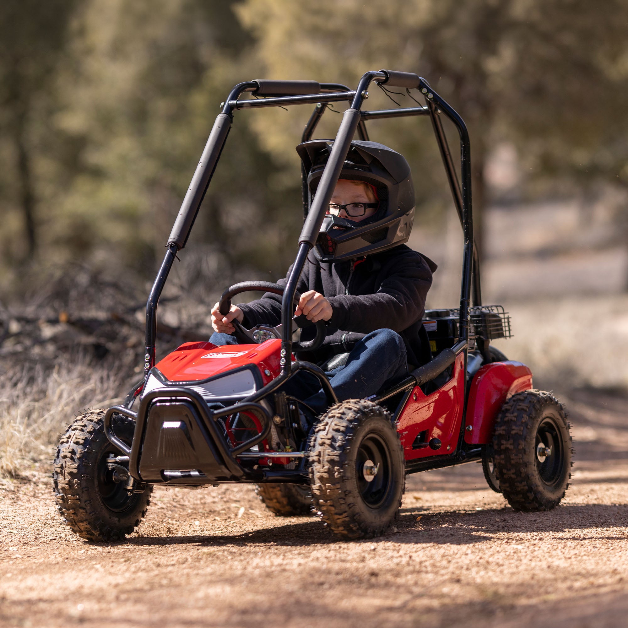 B200R MINI BIKE