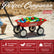 WG2 Kid's Wagon