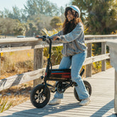 Mini Lithium Bike