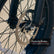 Sportster Electric Bike