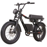 Sportster Electric Bike