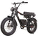 Sportster Electric Bike