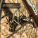 Trail XL Electric Bike