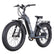 Trail XL Electric Bike