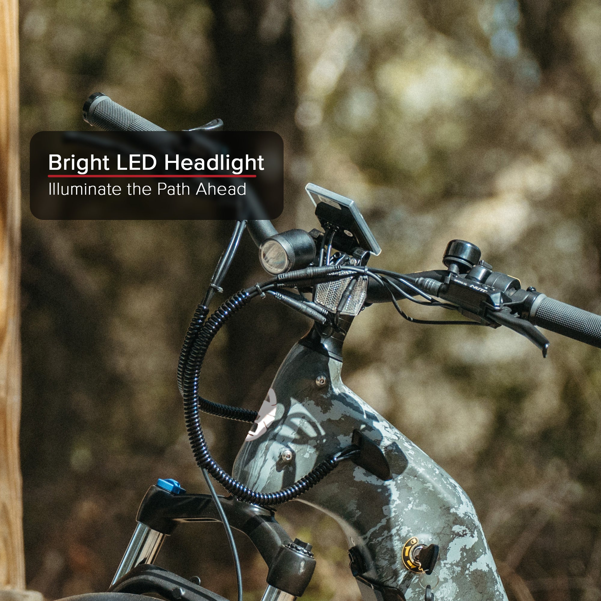 Trail XL Electric Bike