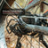 Trail XL Electric Bike