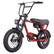 Retro Electric Bike